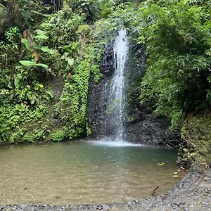 Le Ketmie Nature Et Decouverte , Fond-Saint-Denis Martinique